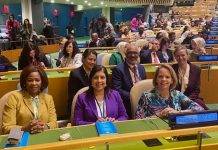 Minister Plenipotentiary Arrindell says 69th Session of the Commission on the Status of Women a Success