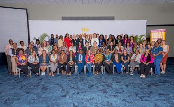 Working together towards a future without domestic violence and violence against women