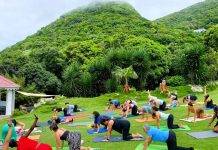 Saba Wellness Month – Root, Rise, and Radiate