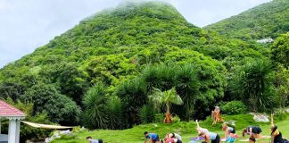 Saba Wellness Month – Root, Rise, and Radiate