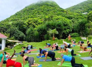 Saba Wellness Month – Root, Rise, and Radiate