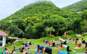 Saba Wellness Month – Root, Rise, and Radiate