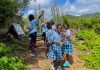 Les Fruits de Mer and Fondation Air France Bring Local Education to 10,000 Students on Both Sides of St. Martin