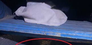 Public disturbance, individuals arrested