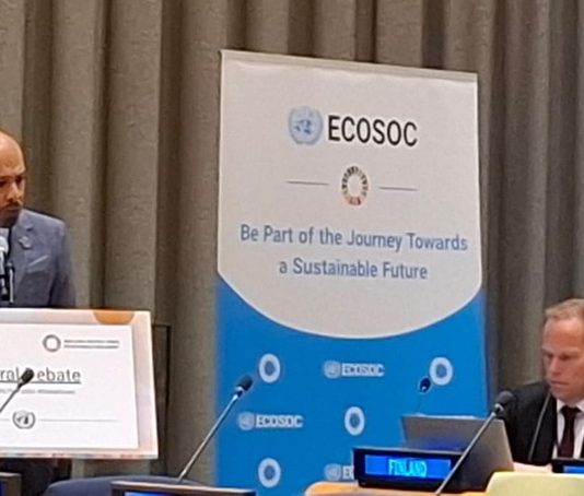 SER Curaçao represents AICESIS at U.N. High-Level Political Forum