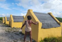 Celebrating the International Day of African People and their Descendants