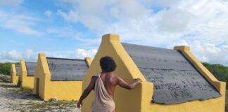 Celebrating the International Day of African People and their Descendants