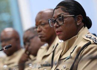Police may be given non-lethal weapons