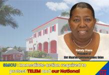Immediate Action Required to Protect TELEM and Our National Telecommunications