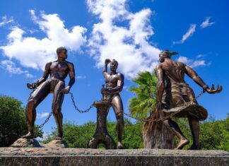 First application time slot subsidy for initiatives slavery past opens