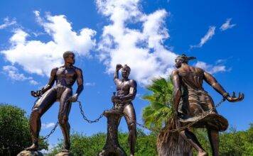 First application time slot subsidy for initiatives slavery past opens