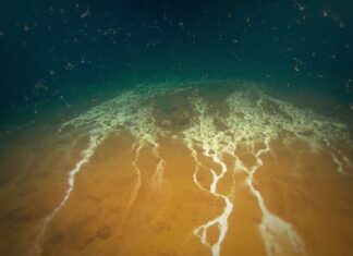 Increased Seismic Activity at Kick-‘em-Jenny Submarine Volcano