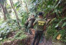 Rescue Mission of Mr. Lancelot Hassell