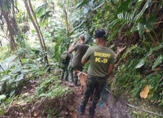 Rescue Mission of Mr. Lancelot Hassell