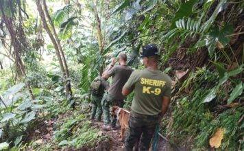 Rescue Mission of Mr. Lancelot Hassell