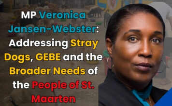 MP Jansen-Webster, responds to MP York: Addressing Stray Dogs, GEBE, and the Broader Needs of the People of St. Maarten