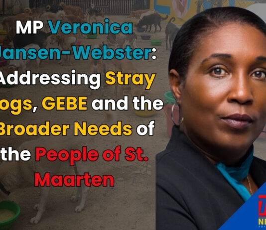 MP Jansen-Webster, responds to MP York: Addressing Stray Dogs, GEBE, and the Broader Needs of the People of St. Maarten