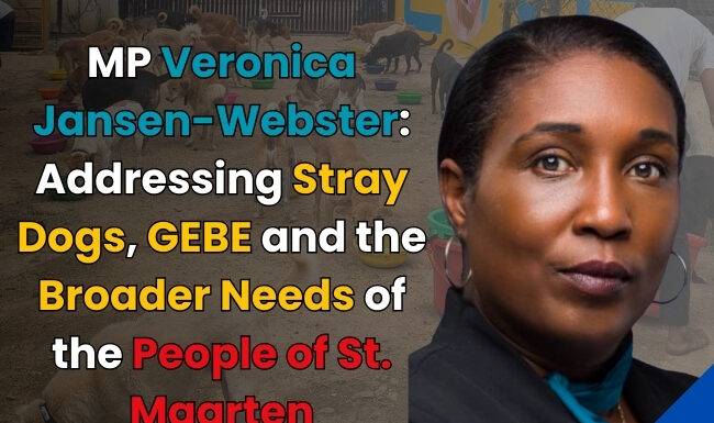 MP Jansen-Webster, responds to MP York: Addressing Stray Dogs, GEBE, and the Broader Needs of the People of St. Maarten