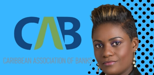 CAB Supports Regional Launch of the Nature Reporting Preparer Forum