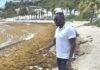MP Lyndon Lewis Urges Government to Address Sargassum Concerns and Protect St. Maarten’s Tourism Image.