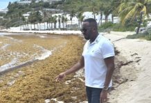 MP Lyndon Lewis Urges Government to Address Sargassum Concerns and Protect St. Maarten’s Tourism Image.