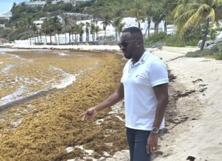 MP Lyndon Lewis Urges Government to Address Sargassum Concerns and Protect St. Maarten’s Tourism Image.