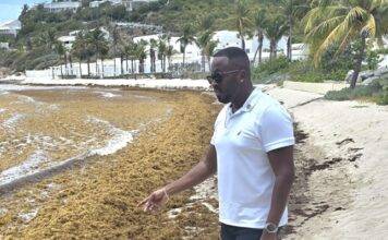 MP Lyndon Lewis Urges Government to Address Sargassum Concerns and Protect St. Maarten’s Tourism Image.