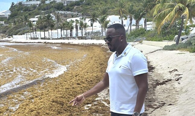 MP Lyndon Lewis Urges Government to Address Sargassum Concerns and Protect St. Maarten’s Tourism Image.
