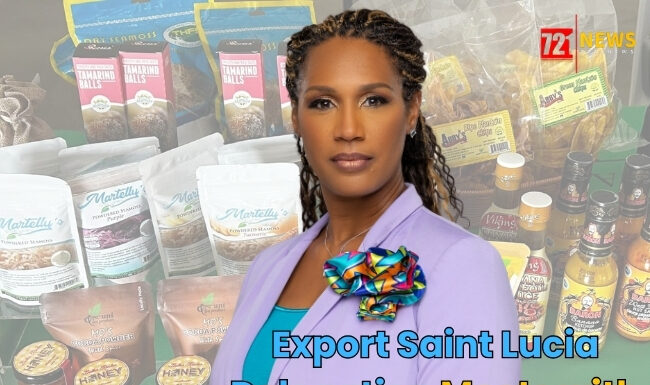 Export Saint Lucia Delegation Meets with Minister of TEATT