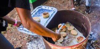 Amuseum Naturalis at The Old House Hosts Three Activities for Heritage Day on Saturday, September 20th