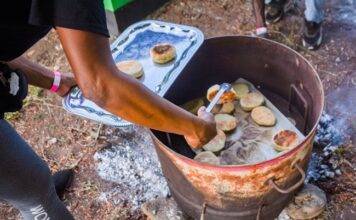 Amuseum Naturalis at The Old House Hosts Three Activities for Heritage Day on Saturday, September 20th