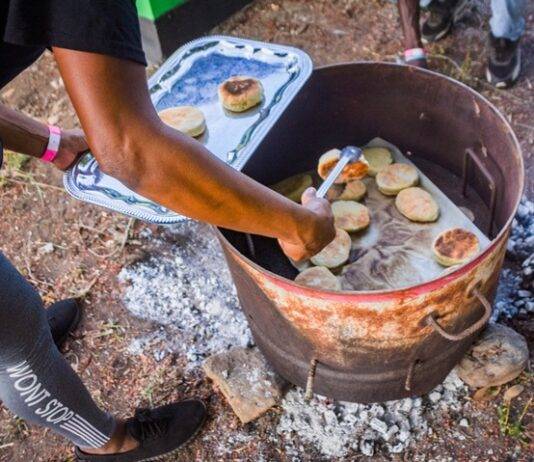 Amuseum Naturalis at The Old House Hosts Three Activities for Heritage Day on Saturday, September 20th