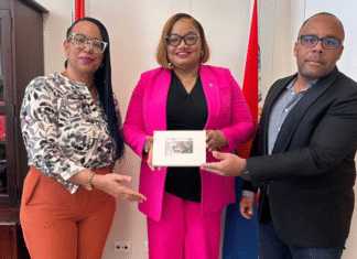Minister of Finance Receives SOAB Annual Accounts 2024