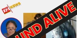 LAST UPDATE: Missing tourist Jessica Collins found alive