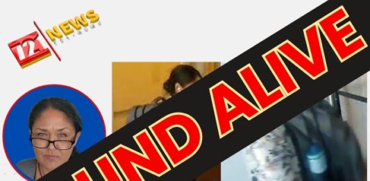 LAST UPDATE: Missing tourist Jessica Collins found alive