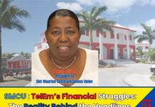 TelEm’s Financial Struggles: The Reality Behind the Headlines