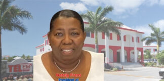 TelEm’s Financial Struggles: The Reality Behind the Headlines