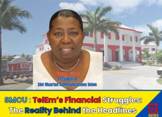 TelEm’s Financial Struggles: The Reality Behind the Headlines