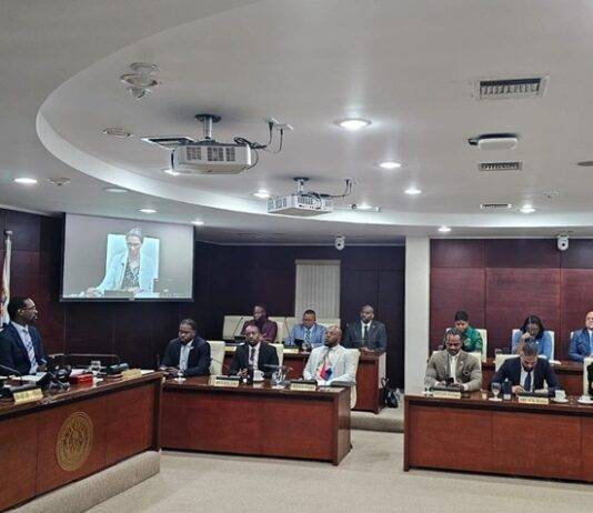 Presidium of Parliament establishes Digital Transformation and AI Workgroup