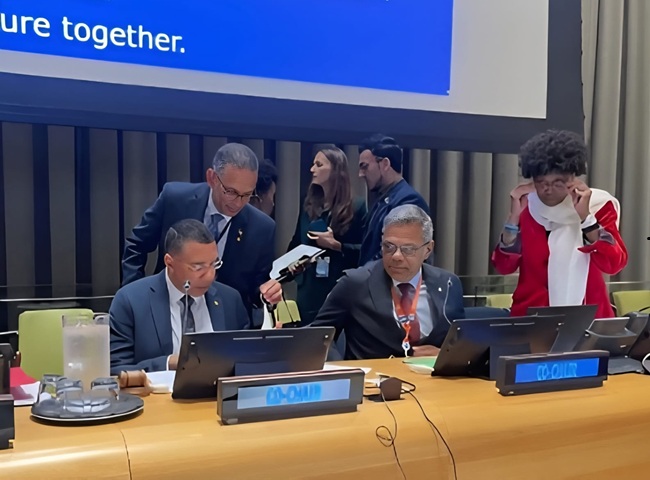 PmMercelina and PmHolness