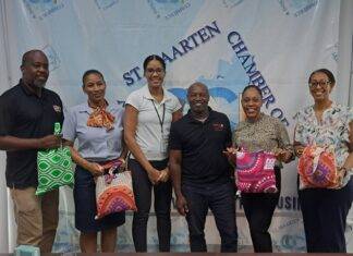 The St. Maarten Small Properties Association Strengthens Regional Ties through Fruitful Discussions with Saint Lucian Enterprises