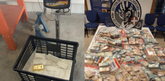 Criminal networks dismantled for drug trafficking and money laundering via trade in gold bars
