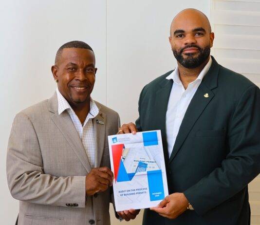 AUDIT CHAMBER PRESENTS REPORT ON PERMIT PROCESS TO MINISTER OF VROMI