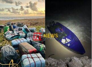 Dutch Caribbean Coast Guard detained one Colombian and four Venezuelans