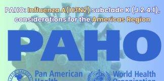 PAHO: Influenza A(H3N2) subclade K (J.2.4.1), considerations for the Americas Region