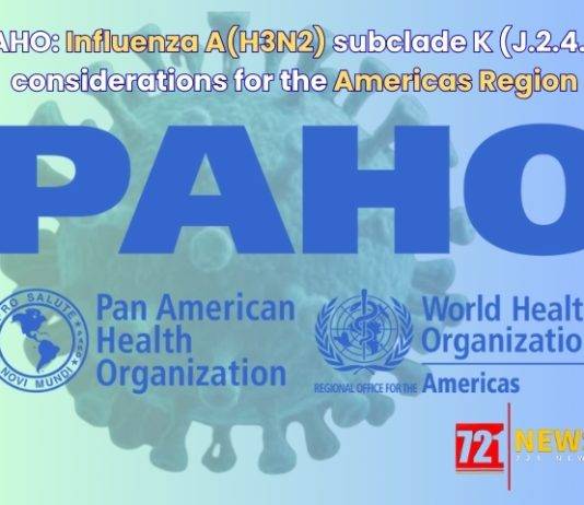 PAHO: Influenza A(H3N2) subclade K (J.2.4.1), considerations for the Americas Region