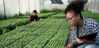 Assessment of pre-proposals for Caribbean PhD Scholarships now started