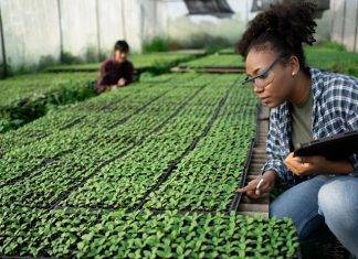 Assessment of pre-proposals for Caribbean PhD Scholarships now started