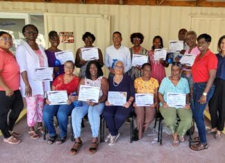 Empowering seniors through Technology: Our Cyber-Seniors Program 2025