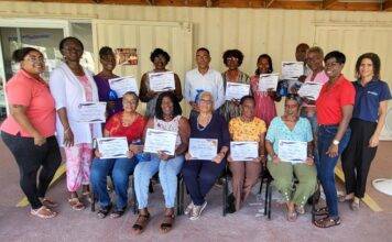 Empowering seniors through Technology: Our Cyber-Seniors Program 2025